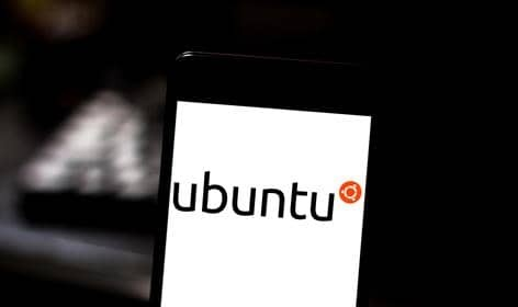 large picture of the cover